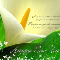 NEW YEAR MESSAGE