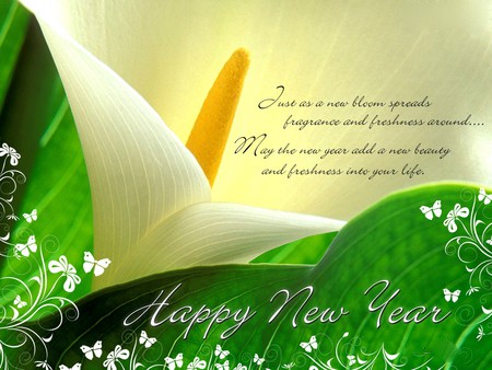 NEW YEAR MESSAGE - blossoms, message, HAPPY, new year