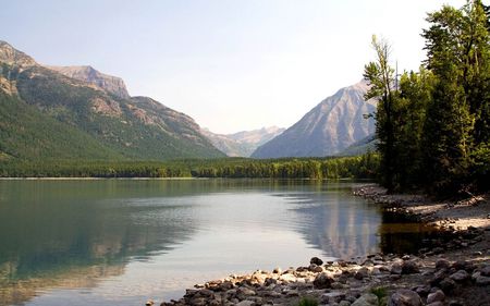 CALM LAKE - calm, lake, trees, mountain, stones, rocks