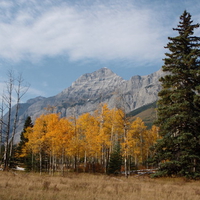 Autumn in Kananaski