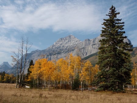 Autumn in Kananaski - kananaski, alberta, shantyman, autumn