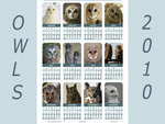 Owls calendar