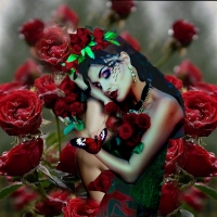 Red Roses