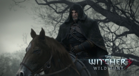 The witcher 3 - fantasy, video games, The Witcher, wallpaper