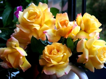 Roses - rose, still life, vase, yellow