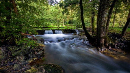 Forest waterfall - forest, trees, water, waterfall