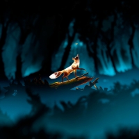 Chasing butterflies