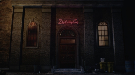 Devil May Cry - anime, dante, demon hunters, devil may cry 5, lady, trish, video games