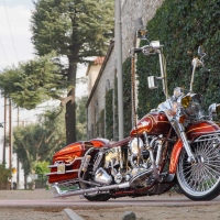 1979-Harley-Davidson-Shovelhead