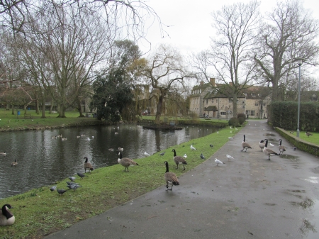 The Friary Walk - architecture, aylesford, friary, kent, religious, uk