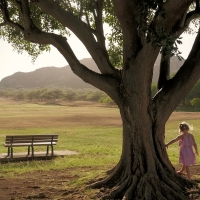 Little Girl and Tree