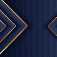 Navy and Gold