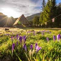 Spring in Poland