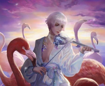 :) - flamingo, song, bird, shijia zhang, girl, violin, instrument, music, fantasy, luminos, pasari