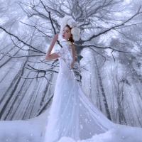 Winter Bride