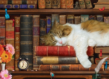 Sleeping cat - library, books, cat, shelves, pictura, sleep, paw, painting, pisici, art