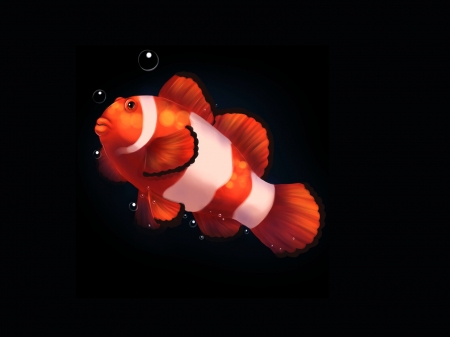 clownfish - white, black, orange, summer, fantasy, pesti, fish, clownfish, tanya ostrowska, vara