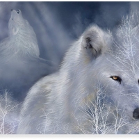 White wolf