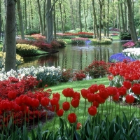 Beautiful Gardens