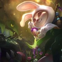 Teemo Cottontail