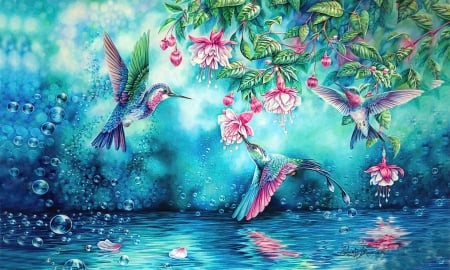 Happy Hummingbirds - water, Colors, Flowers, Bubbles, Lovely, Hummingbirds, Birds