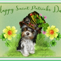 HAPPY ST PATRICK'S DAY