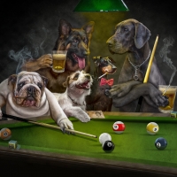 Playing billiard