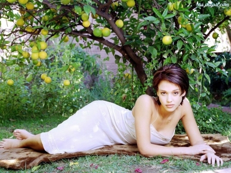 Under The Apple Tree ...Maybe Lemon tree ? - apple, lady, leaves, tree