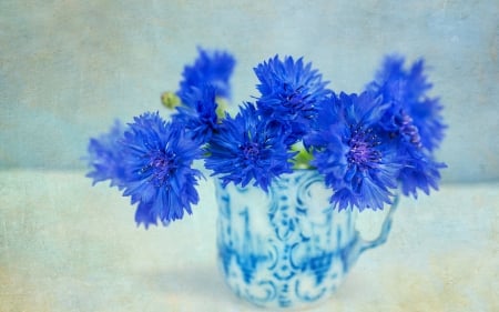 Cornflowers - vase, blue, summer, cornflower, bouquet, vara, glass