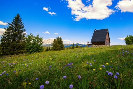 Spring in France - house, France, beautiful, spring, grass, meadow, mountain, wildflowers, hut, sky, grassland