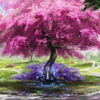 Zen garden