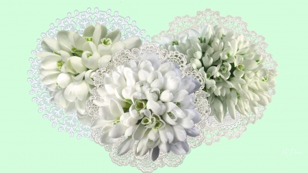 Snowdrops and Lace - flowers, blossoms, Firefox theme, snowdrops, spring, lace, doilies