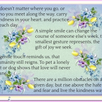 LIVE THE KINDNESS WAY