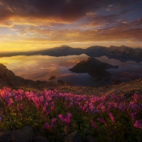 A calm lake sits upon a mountain, surrounded by flowers at sunset