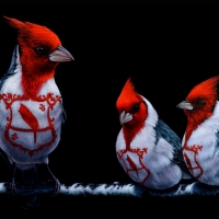 Cardinals