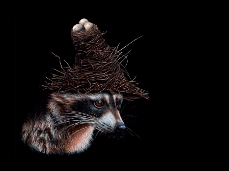 :) - raccoon, jacub gagnon, black, fantasy, animal, nest, raton, egg, art, luminos