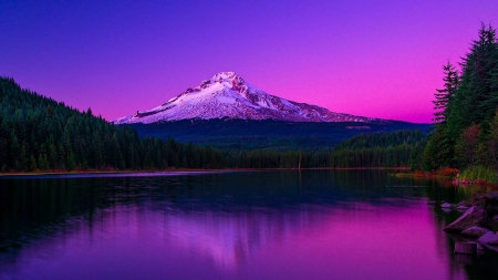 Pink Sunset - lake, trees, mountains, nature