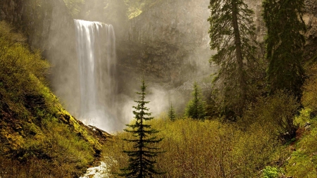 Lovely Waterfalls - grass, nature, trees, waterfalls