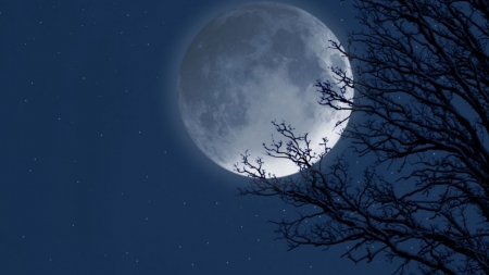 The year of the Moon - landscape, moon, nature, night, scene, sky, wallpaper