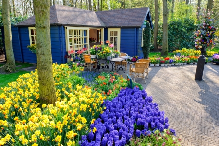 Spring garden - colorful, Keukenhof, house, garden, beautiful, spring, park, Netherland, pretty, freshness, Holland