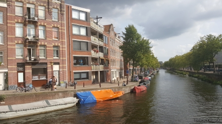 Canal in Amsterdam, Netherlands - Trees, Europe, Amsterdam, Canal, Water, Netherlands, Homes, Boats, Sky