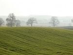 Fields of Poland