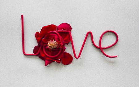 ♥ - word, valentine, card, flower, love