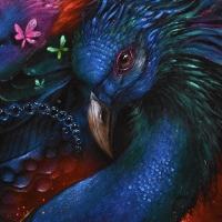 Peacock