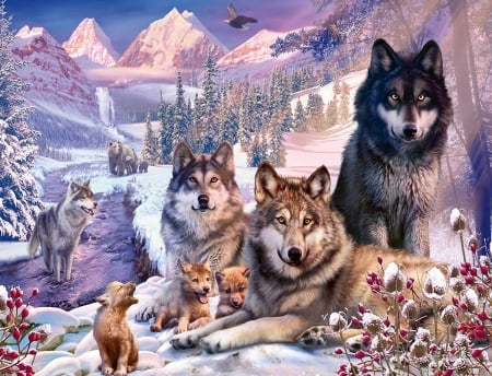 The Pack - fantasy, winter, nature, wolf, animals