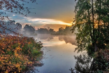 Splendor Of Our Planet - lake, trees, sunset, nature