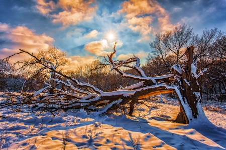 Sunset Winter - river, winter, sunset, nature, lake