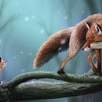 Mother fox and her cub