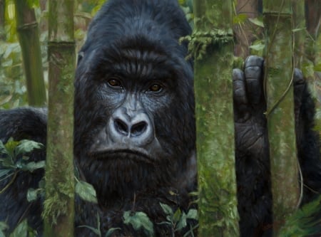 Invisible prison - john banovich, bamboo, monkey, black, pictura, animal, green, painting, art, gorilla