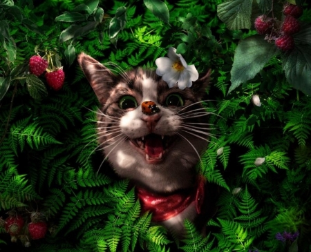 Cat Adventures - gargarita, ladybug, berry, flower, jasminira, cat, frumusete, fantasy, red, green, fruit, pisici, luminos